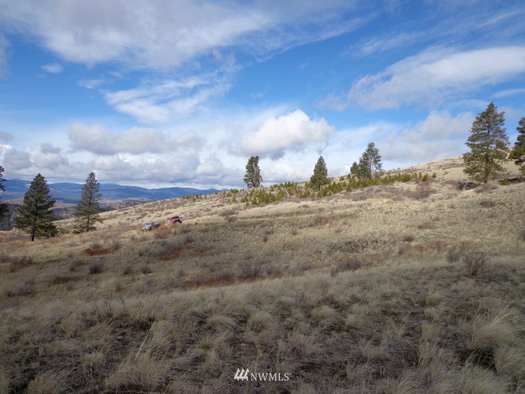 35 Lambert Mt Road Republic, WA 99166 - Photo 3 of 10 Gallery Image 3