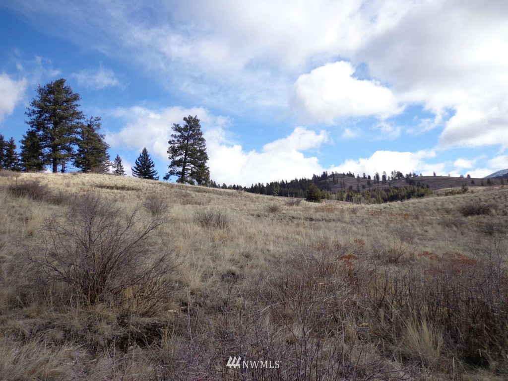 35 Lambert Mt Road Republic, WA 99166 - Photo 6 of 10 Gallery Image 6