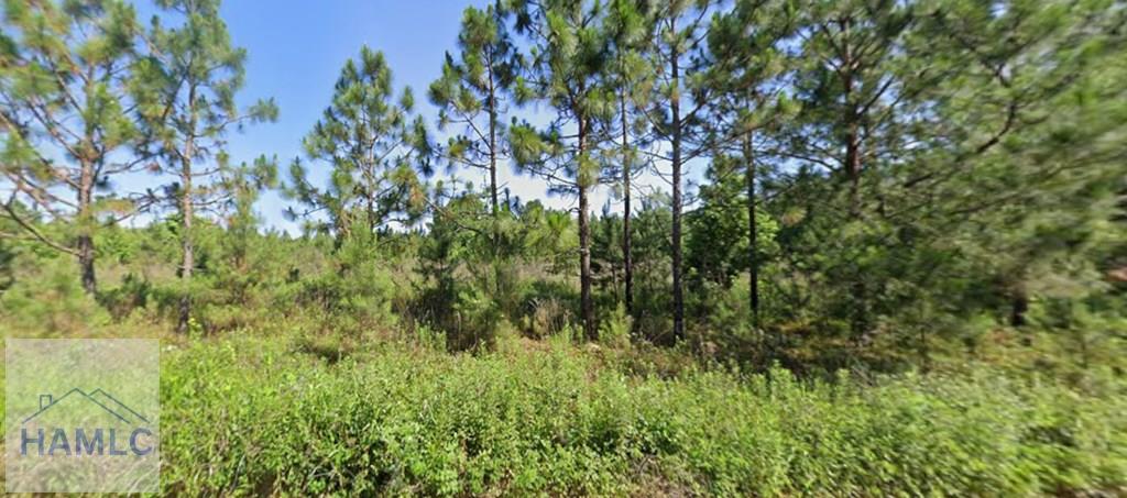 7 Henry Moxley Road Cobbtown, GA 30420 - Photo 2 of 11 Gallery Image 2