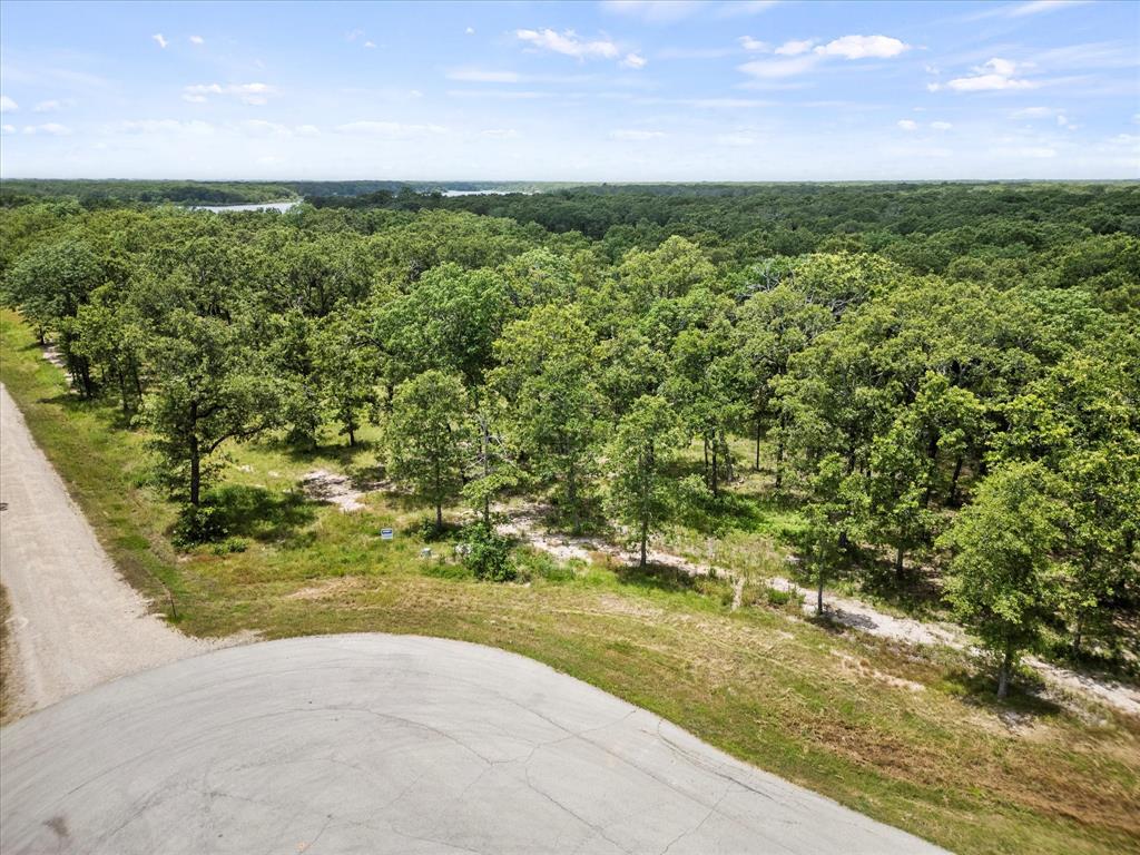 6658 Nautical Drive Quinlan, TX 75474 - Photo 26 of 27 View of bird's eye view
