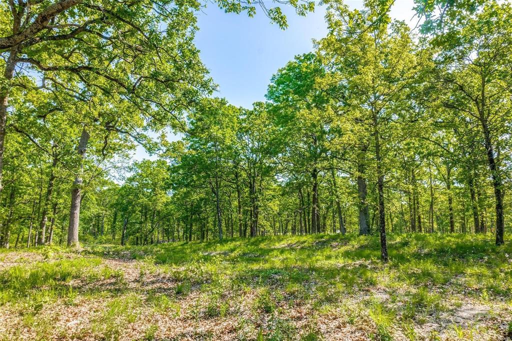 6658 Nautical Drive Quinlan, TX 75474 - Photo 7 of 27