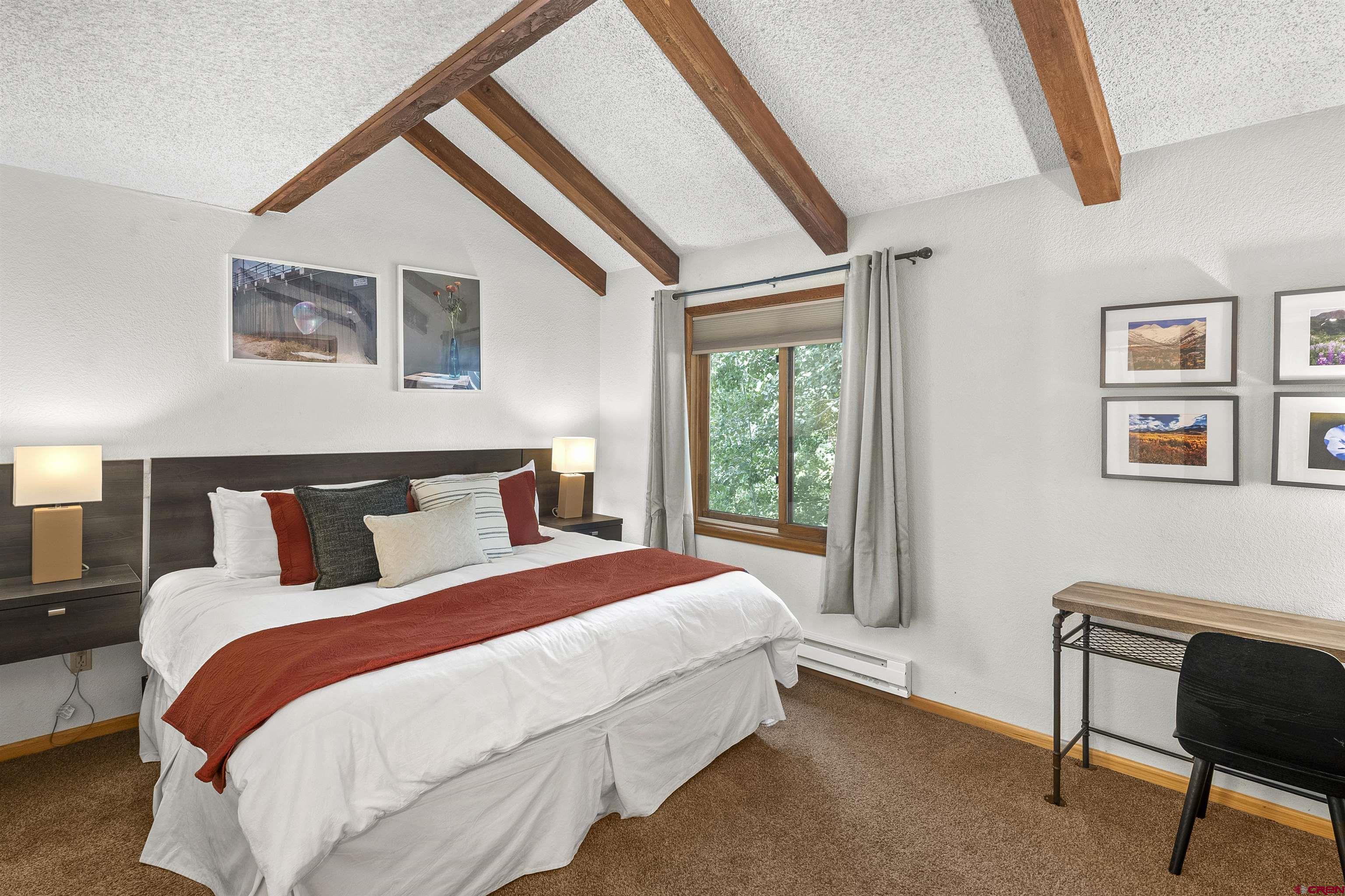 21 Castle Road, Unit 2 Crested Butte, CO 81225 - Photo 16 of 28