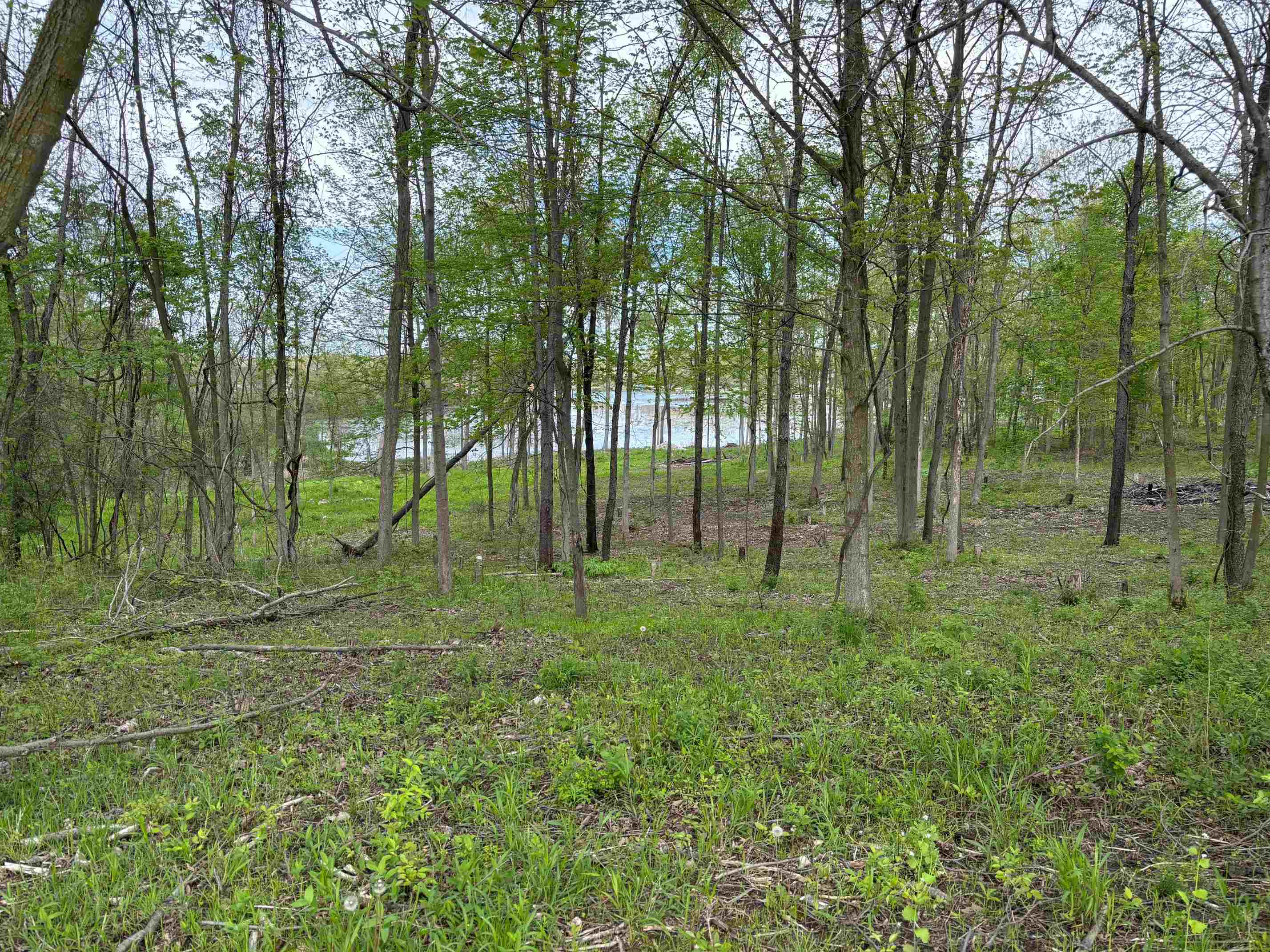 4200 East 850 North Rome City, IN 46784 - Photo 5 of 5