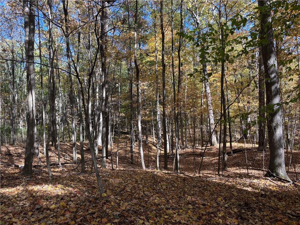 2507 Clayton Road Jerusalem, NY 14527 - Photo 19 of 23