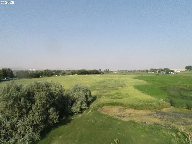 a view of a lake with a city