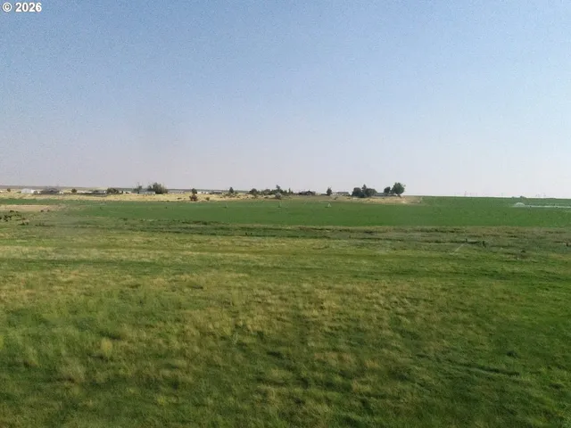 a view of a field with an ocean and trees in the background