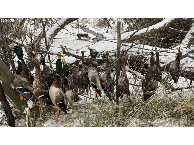 a sign broad on front of a wall