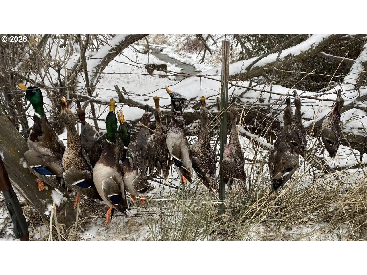 3 Parcels Highway Irrigon, OR 97844 - Photo 6 of 10 a black and white photo of a outdoor space