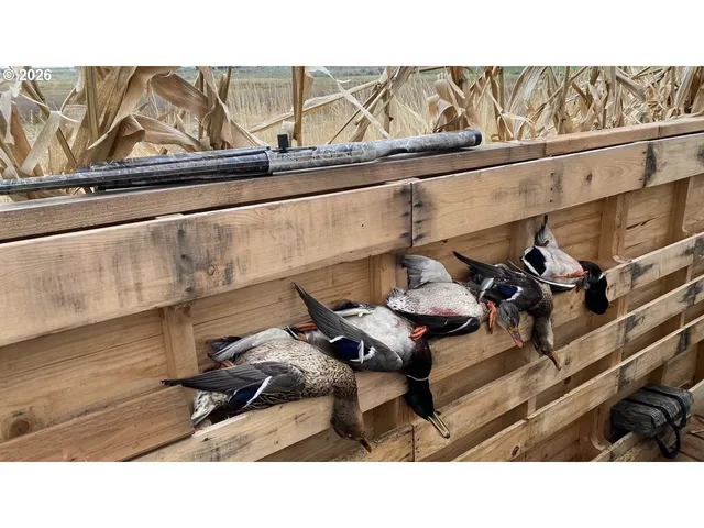 $970,000 | 3 Parcels Highway, Irrigon, OR 97844