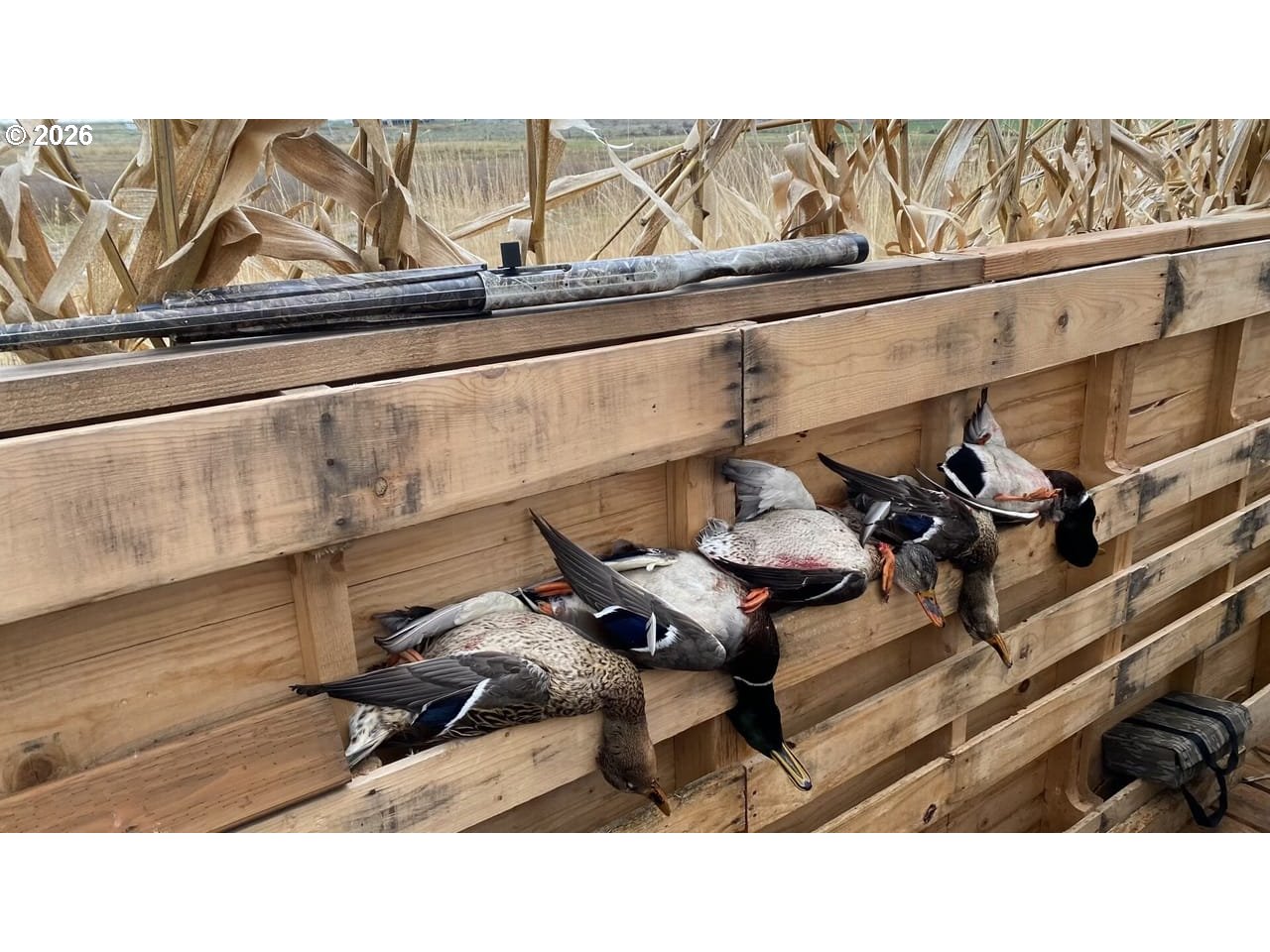 3 Parcels Highway Irrigon, OR 97844 - Photo 10 of 10 a black and white photo of a living room
