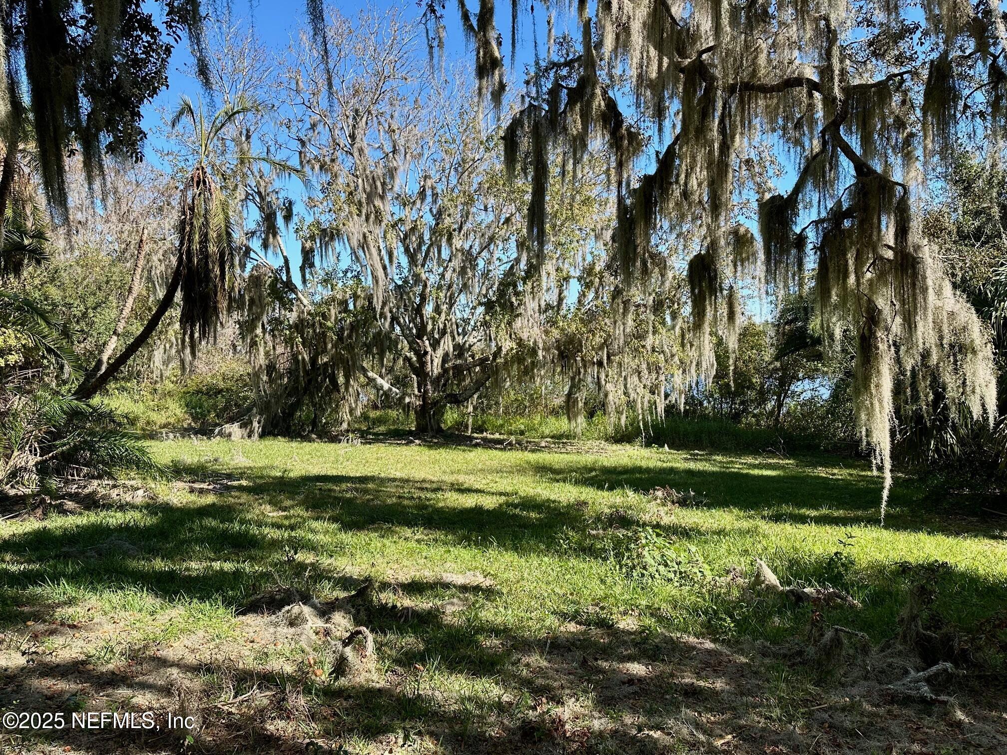 27734 Lake Jem Road Mount Dora, FL 32757 - Photo 5 of 19 a view of a park