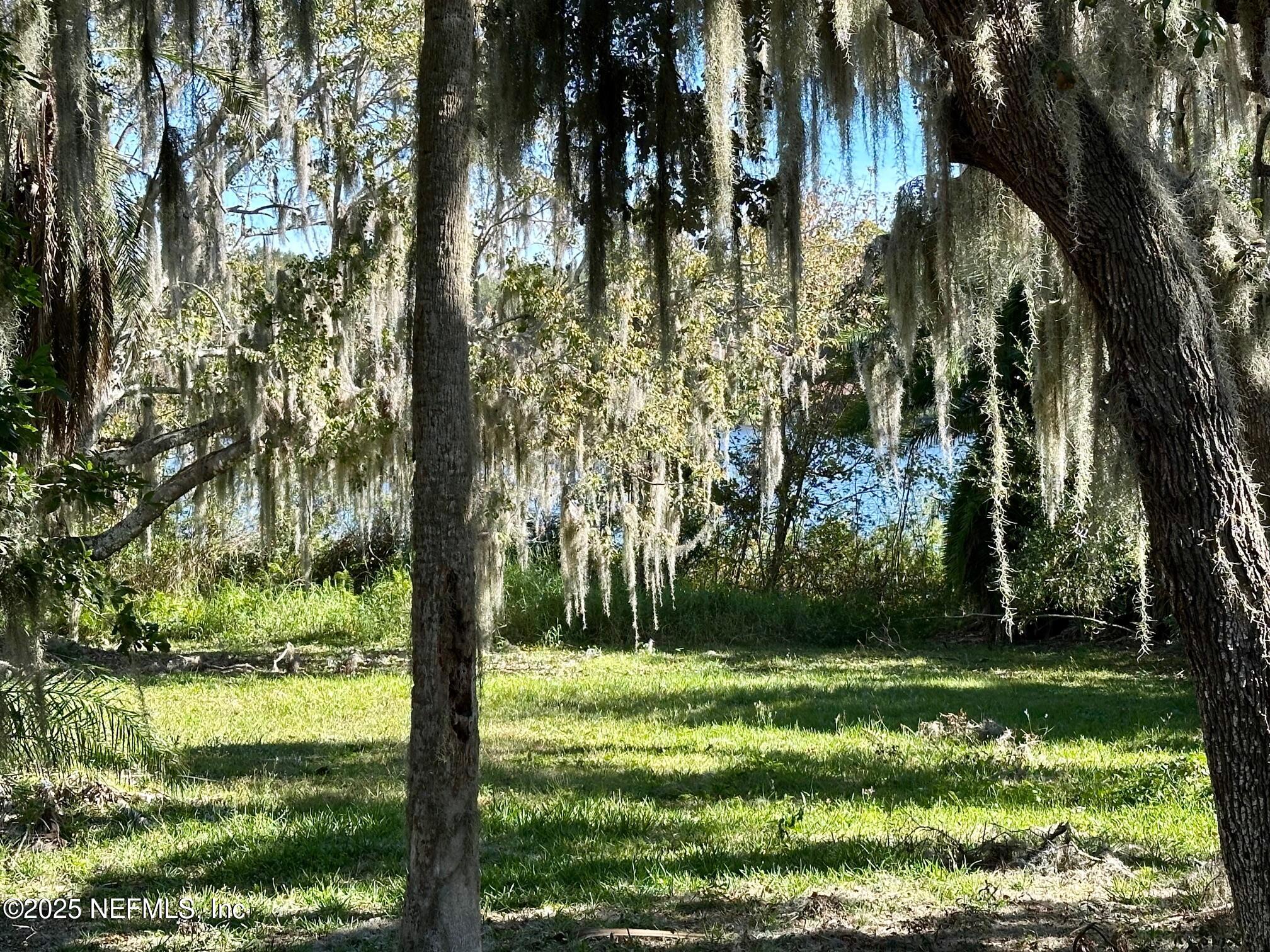 27734 Lake Jem Road Mount Dora, FL 32757 - Photo 6 of 19