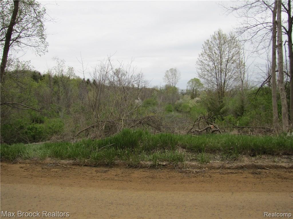 0 Currie Road South Lyon, MI 48178 - Photo 2 of 4