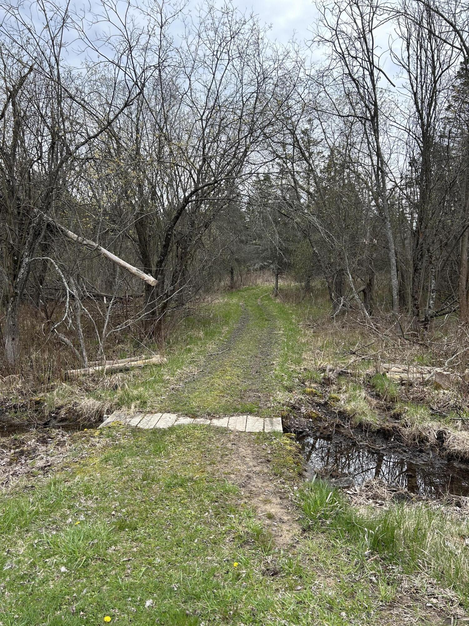 5131 South Hamilton Road Branch, MI 49402 - Photo 78 of 87 IMG_7027
