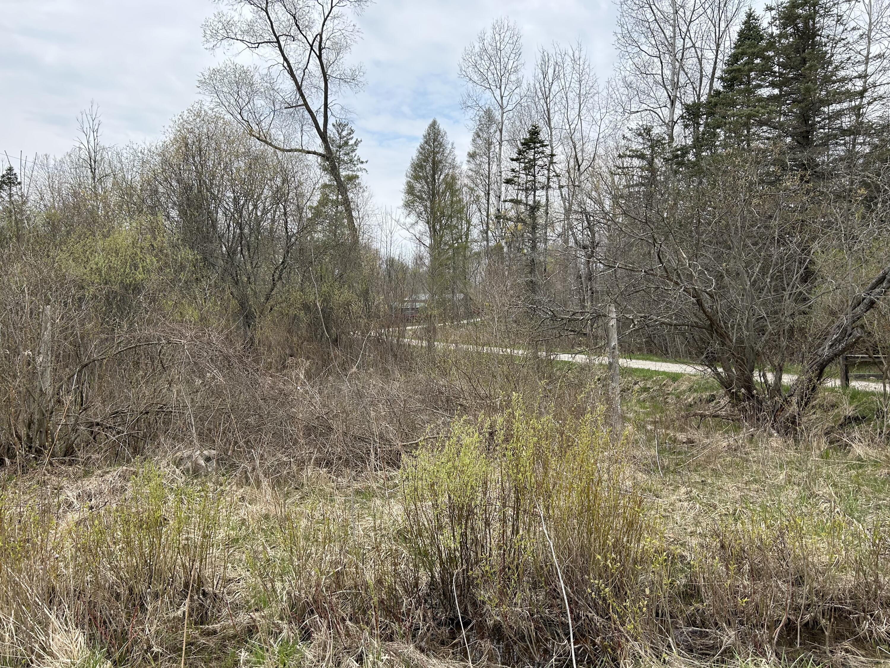 5131 South Hamilton Road Branch, MI 49402 - Photo 80 of 87 IMG_7034