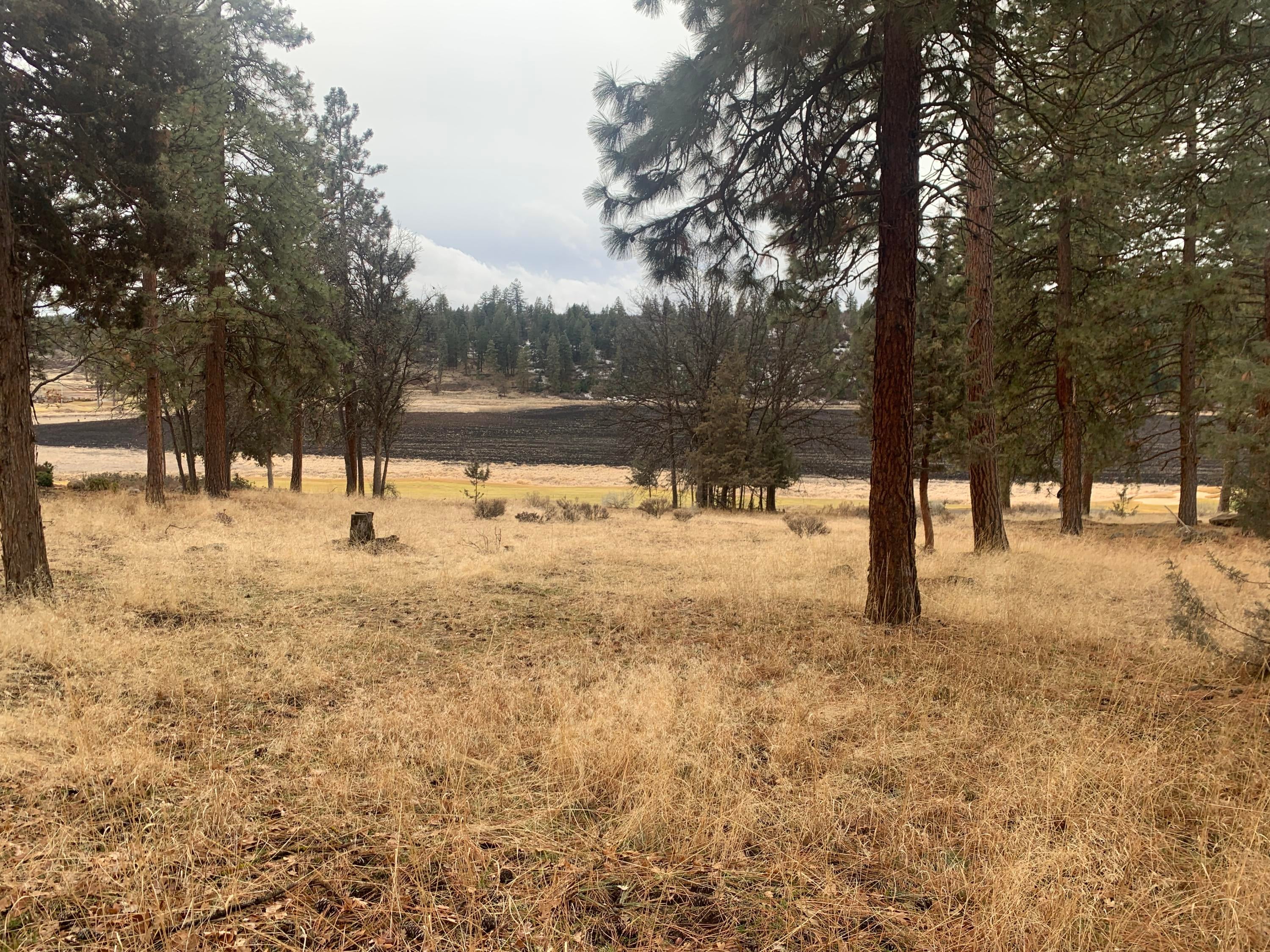 Lot 69 Merganser Road Klamath Falls, OR 97601 - Photo 7 of 20 IMG_9647