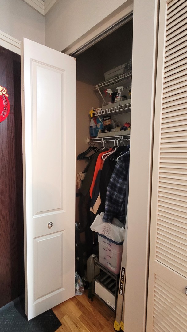 170 West Polk Street, Unit 1003 Chicago, IL 60605 - Photo 20 of 27 a view of walk in closet with clothes and shoes