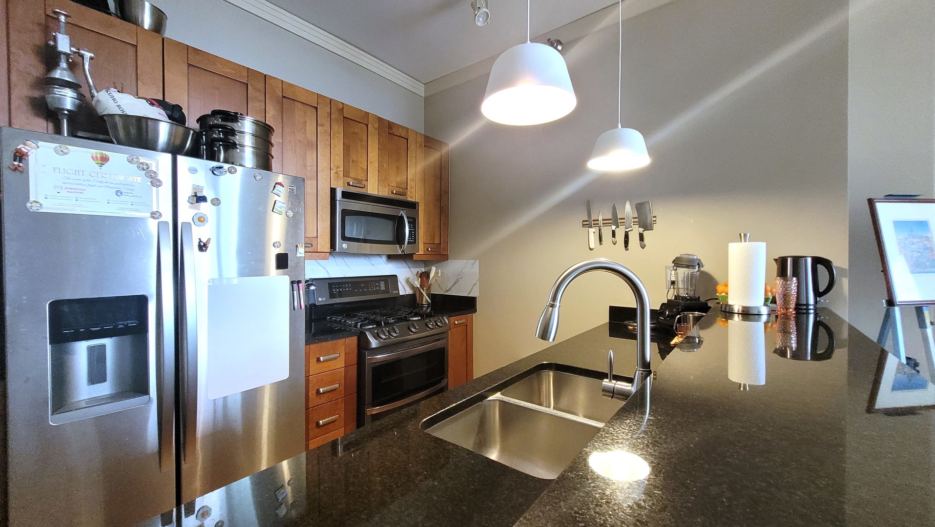 170 West Polk Street, Unit 1003 Chicago, IL 60605 - Photo 8 of 27 a kitchen with stainless steel appliances granite countertop a stove top oven a sink refrigerator and cabinets