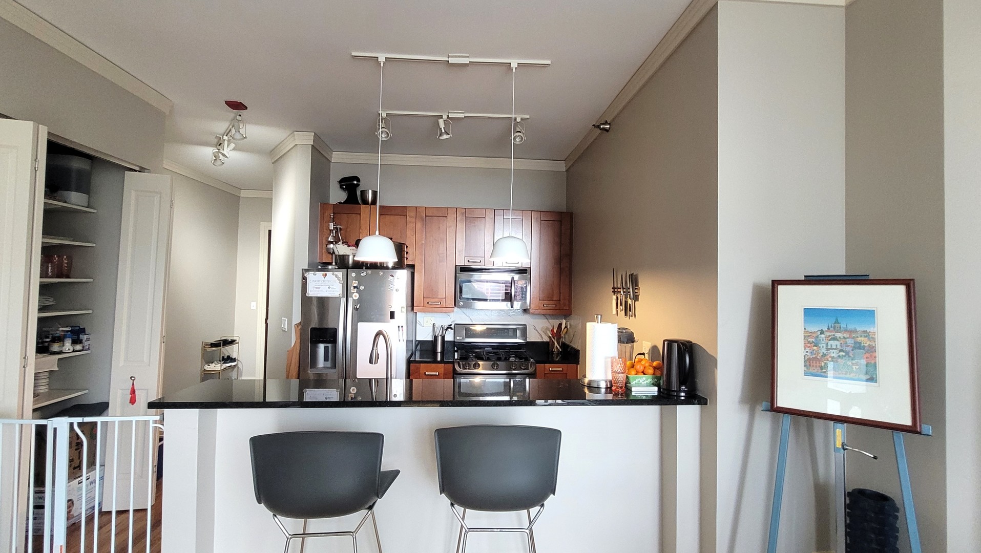 170 West Polk Street, Unit 1003 Chicago, IL 60605 - Photo 10 of 27 a kitchen with stainless steel appliances a dining table chairs and a refrigerator