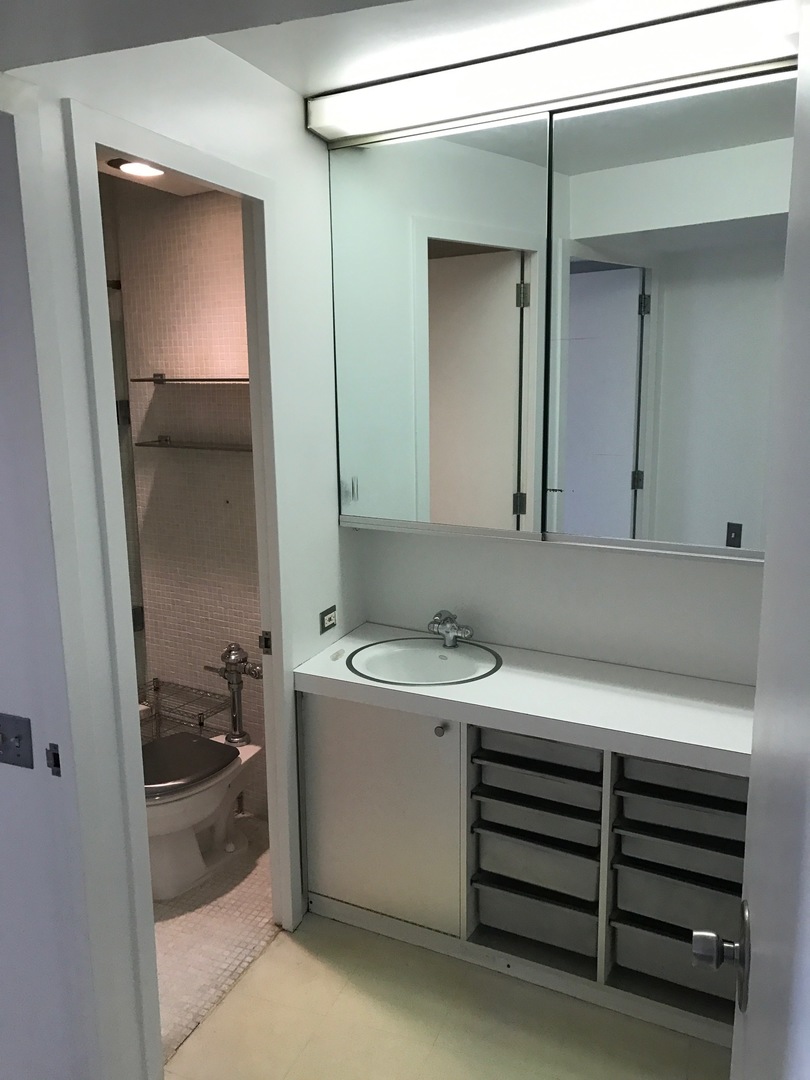 300 North State Street, Unit 4728 Chicago, IL 60654 - Photo 8 of 12 a bathroom with a sink a toilet and vanity