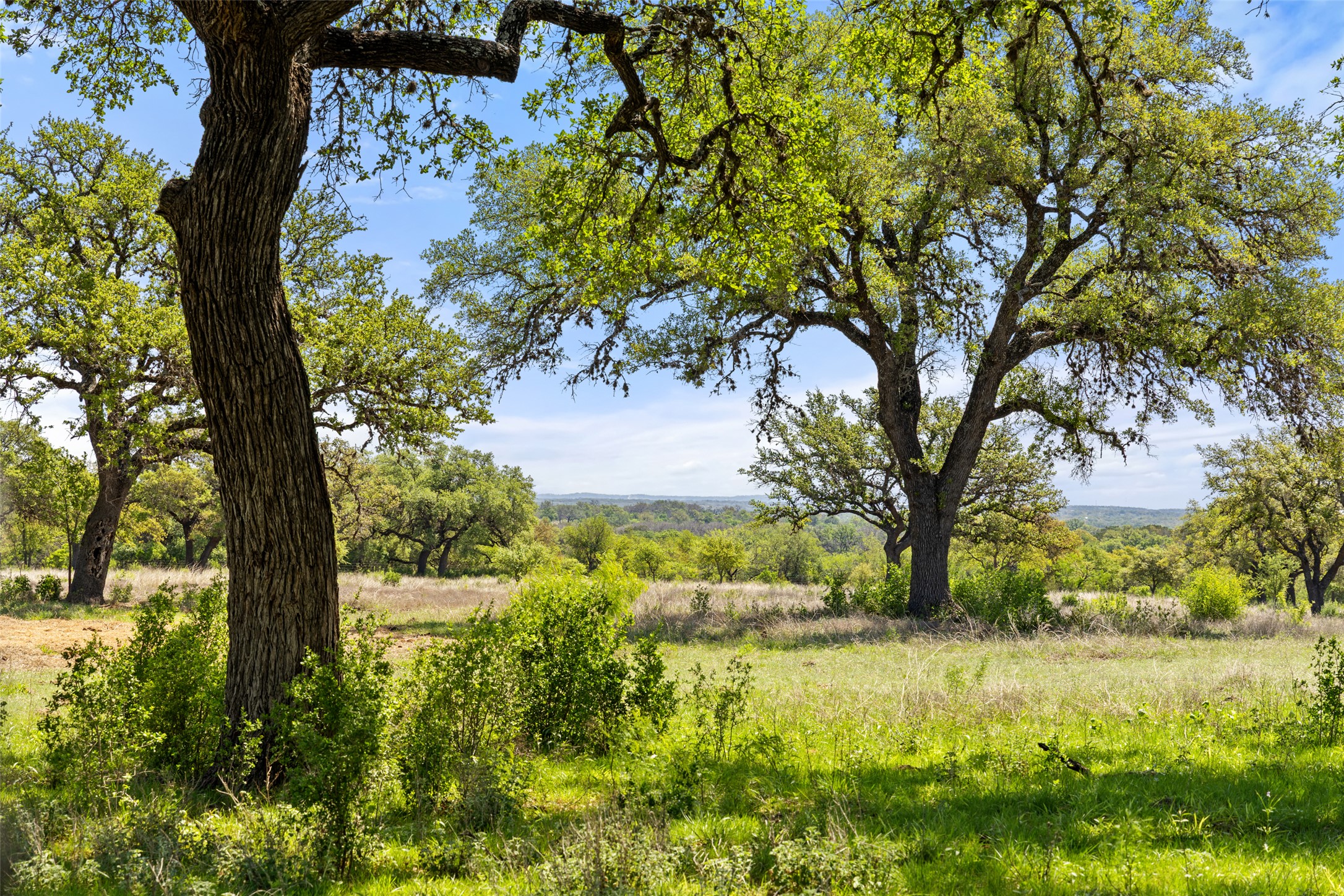 795 Gibson Road Johnson City, TX 78636 - Photo 1 of 9 a view of backyard of house with green space