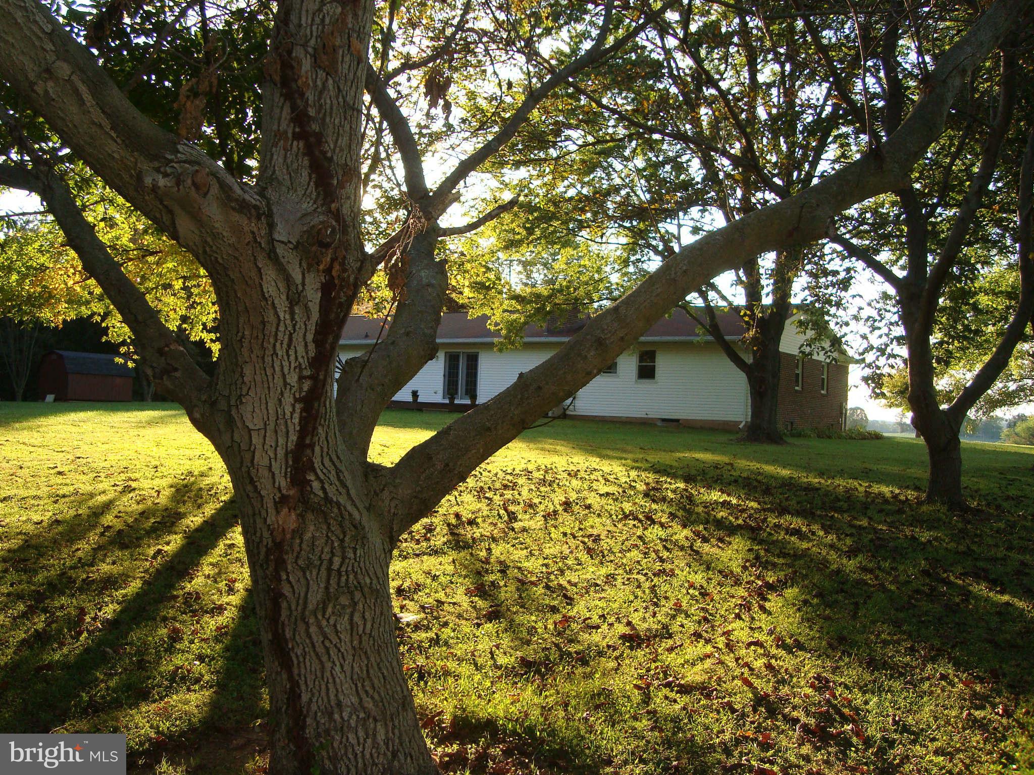19623 Burke Road White Hall, MD 21161 - Photo 10 of 29 Exterior (Rear)