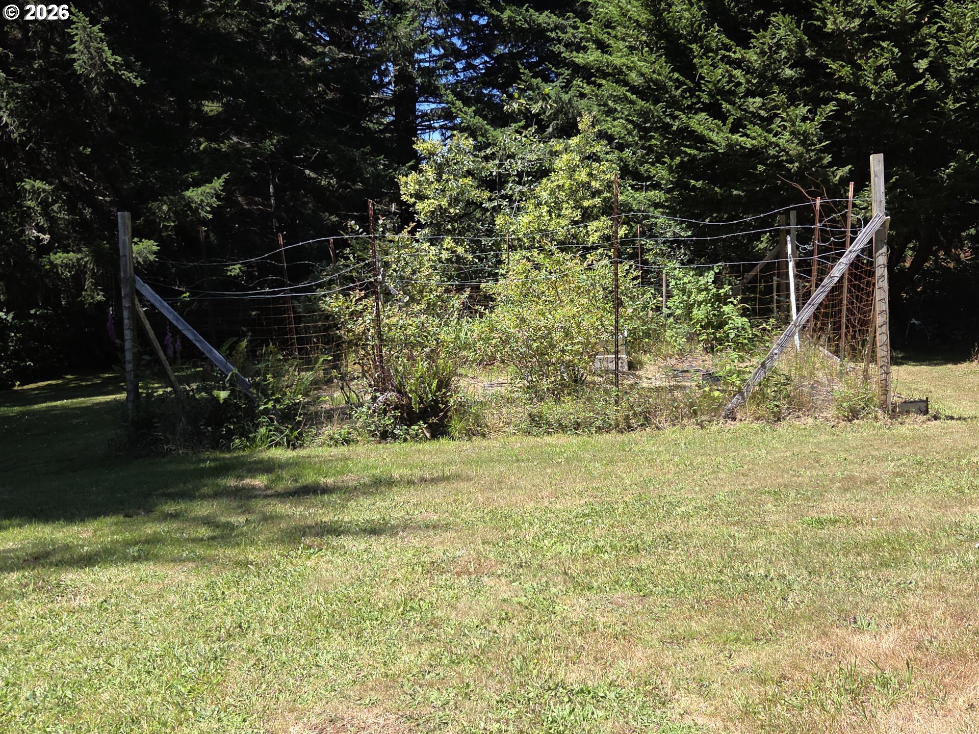 95835 Martin Ranch Road Brookings, OR 97415 - Photo 39 of 43 Garden