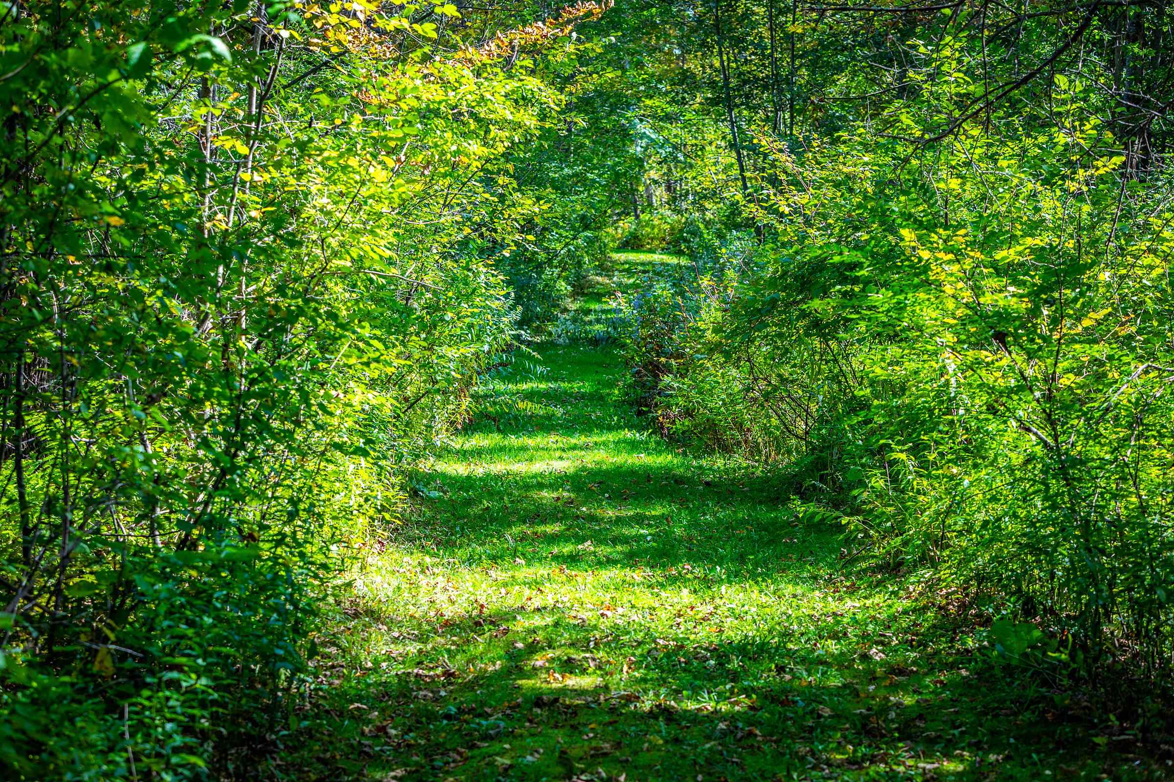 5518 Highway 12 Barnard, VT 05091 - Photo 28 of 40