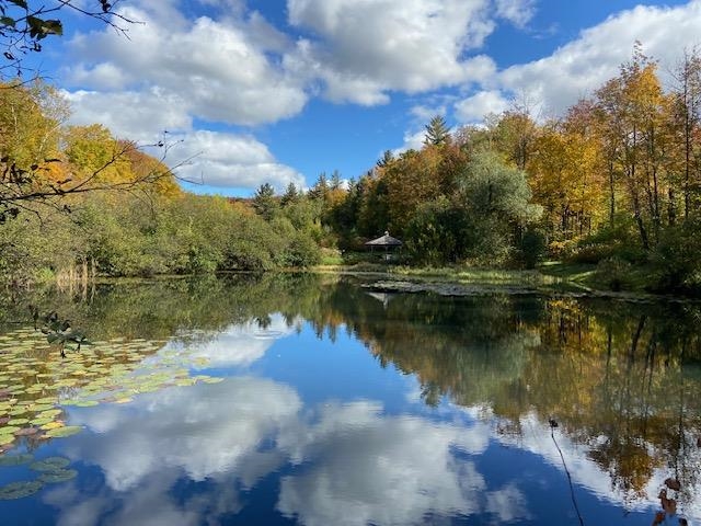 5518 Highway 12 Barnard, VT 05091 - Photo 29 of 40