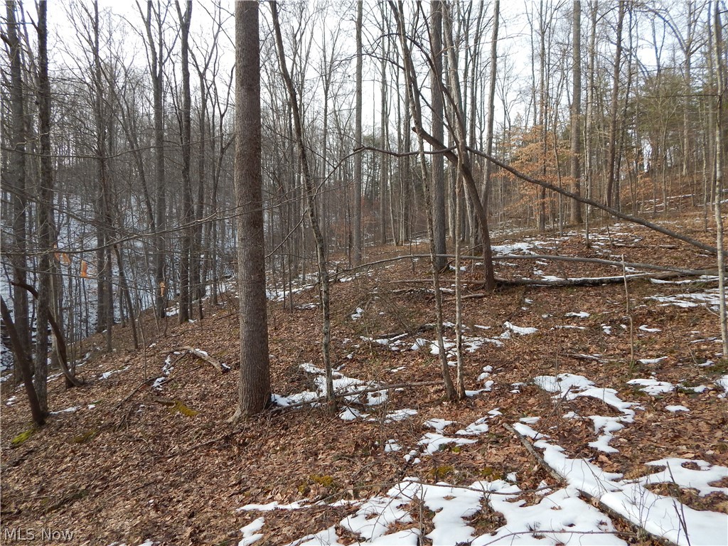 Fingerboard Road Big Springs, WV 26137 - Photo 14 of 21