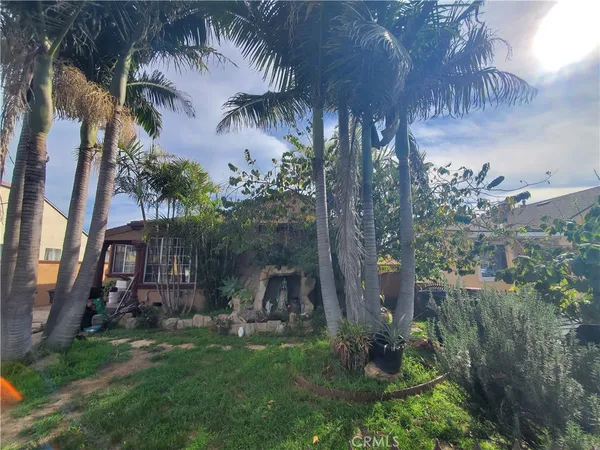 a view of a yard with plants and a fountain