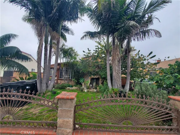 a view of a yard with a palm trees