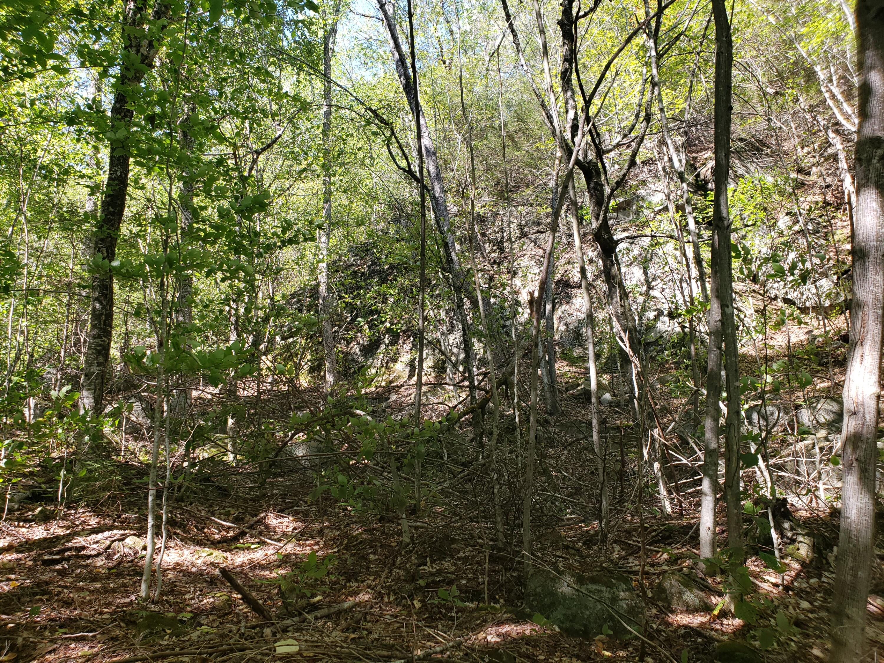 0 Off Mountain Stoneham, ME 04231 - Photo 1 of 32 bottom of ledges