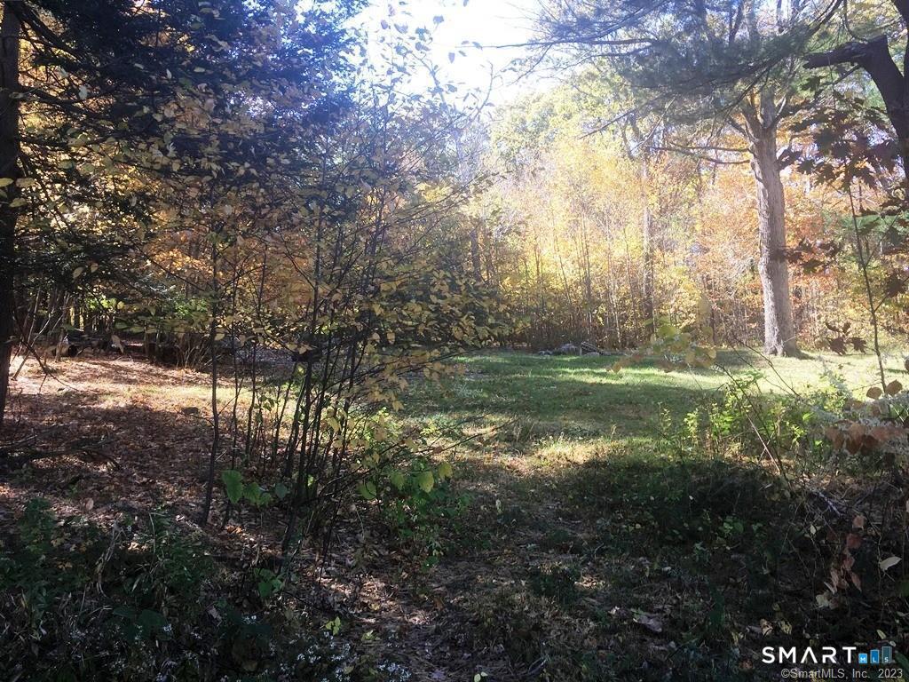 159 Campville Road Litchfield, CT 06778 - Photo 3 of 5 Gallery Image 3