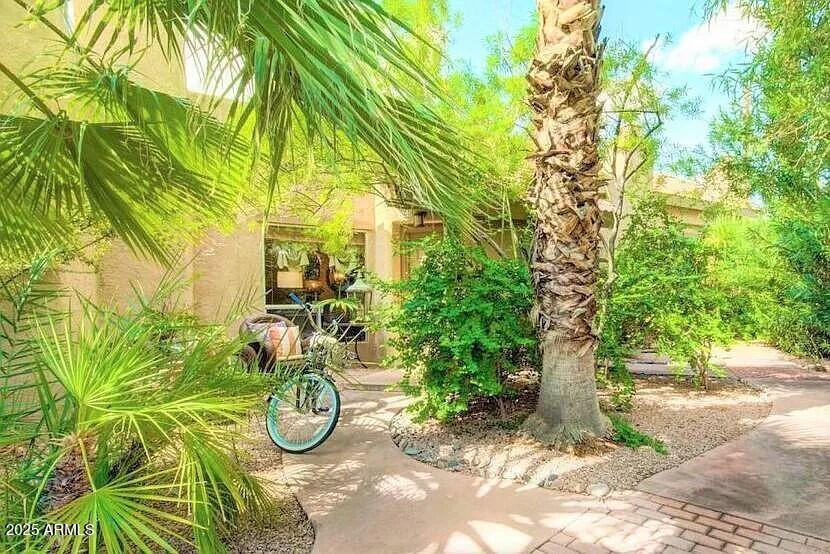 4540 North 44th Street, Unit 47 Phoenix, AZ 85018 - Photo 12 of 16 a view of a yard with plants and trees