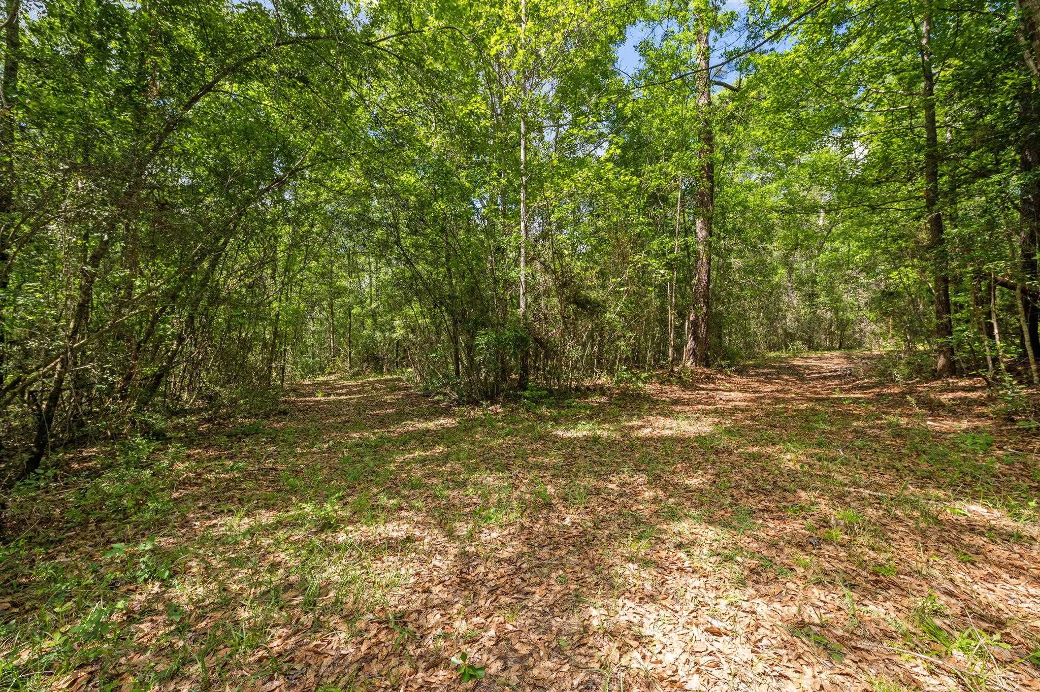 51597 Hollingsworth Road Bay Minette, AL 36507 - Photo 34 of 43