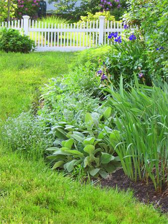 52 Prospect Street Boston, MA 02136 - Photo 12 of 13 Gallery Image 12