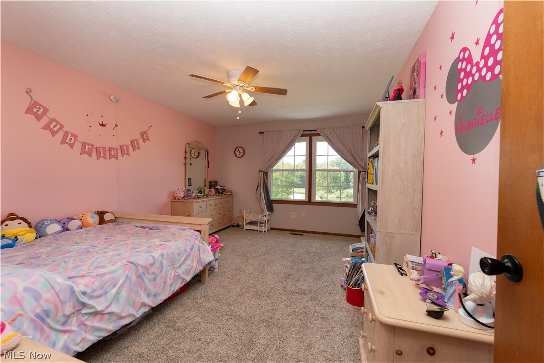 3856 Jones Road Diamond, OH 44412 - Photo 25 of 38 Bedroom with light carpet, a textured ceiling, and ceiling fan