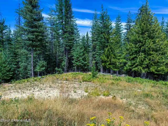 $299,000 | 1001 Pine Ridge Lane, Pinehurst, ID 83850