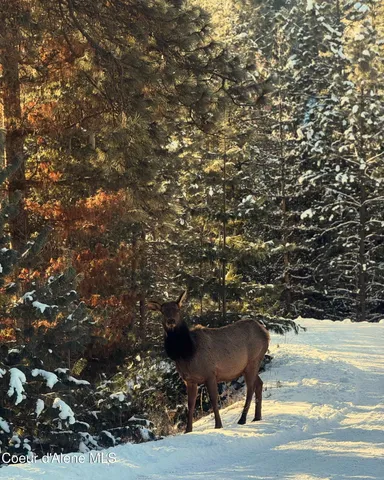 $299,000 | 1001 Pine Ridge Lane, Pinehurst, ID 83850