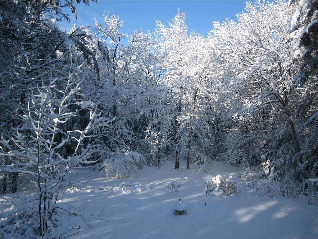 240 Manchester Road Steep Falls, ME 04085 - Photo 25 of 30 Pretty in all seasons!