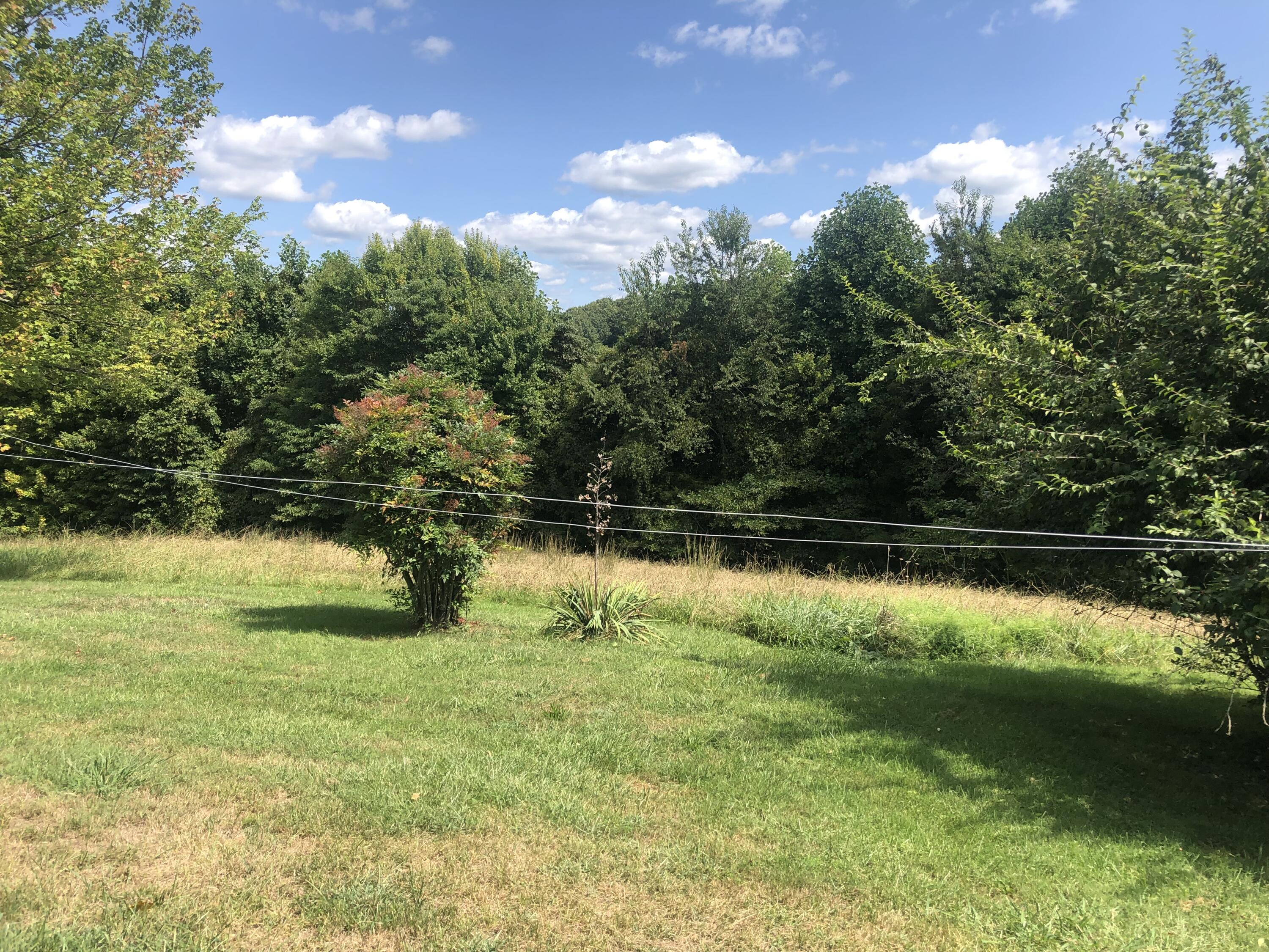 267 McKeehan Ridge Road Johnson City, TN 37601 - Photo 11 of 31 15358A89-CB07-4AD4-AEA4-F1AD6808660F