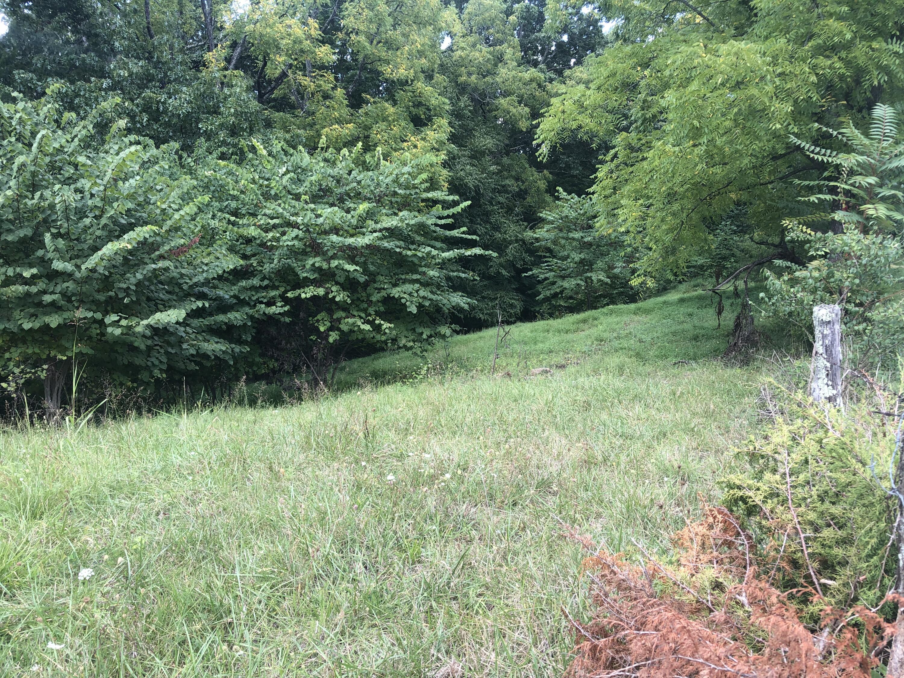 267 McKeehan Ridge Road Johnson City, TN 37601 - Photo 30 of 31 E13126B5-12CA-4F0B-8448-B8072F99B73C