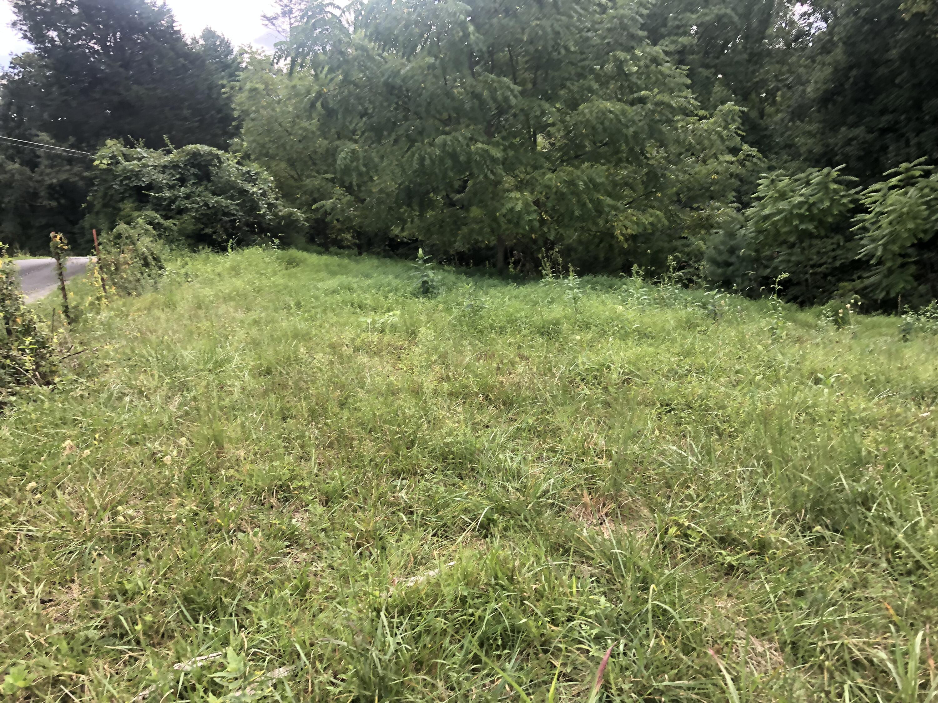 267 McKeehan Ridge Road Johnson City, TN 37601 - Photo 31 of 31 46F9F06F-D098-40DF-B797-3BB69902EF2B
