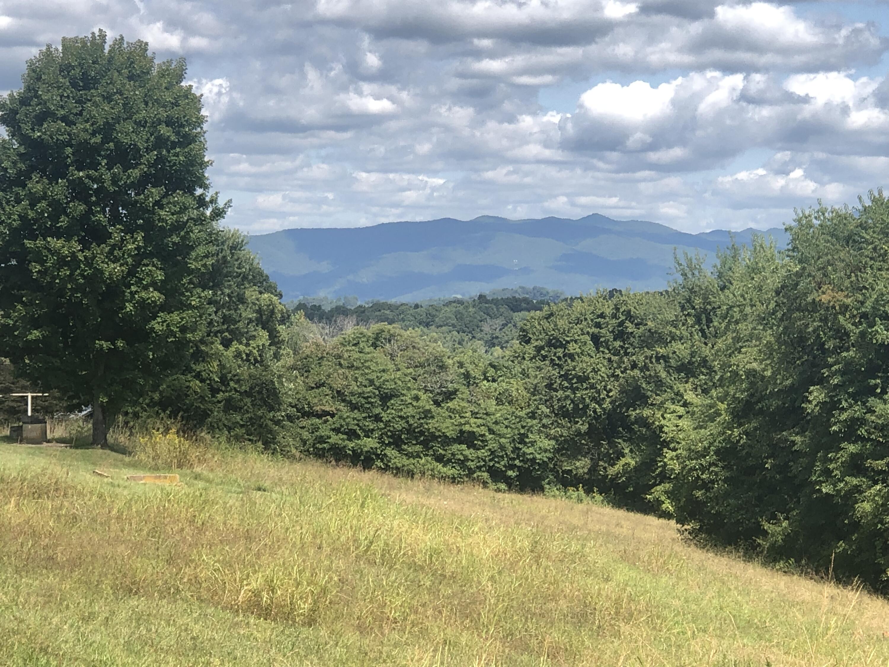 267 McKeehan Ridge Road Johnson City, TN 37601 - Photo 7 of 31 54455720-10D9-49FA-A4C6-07BD1A122883