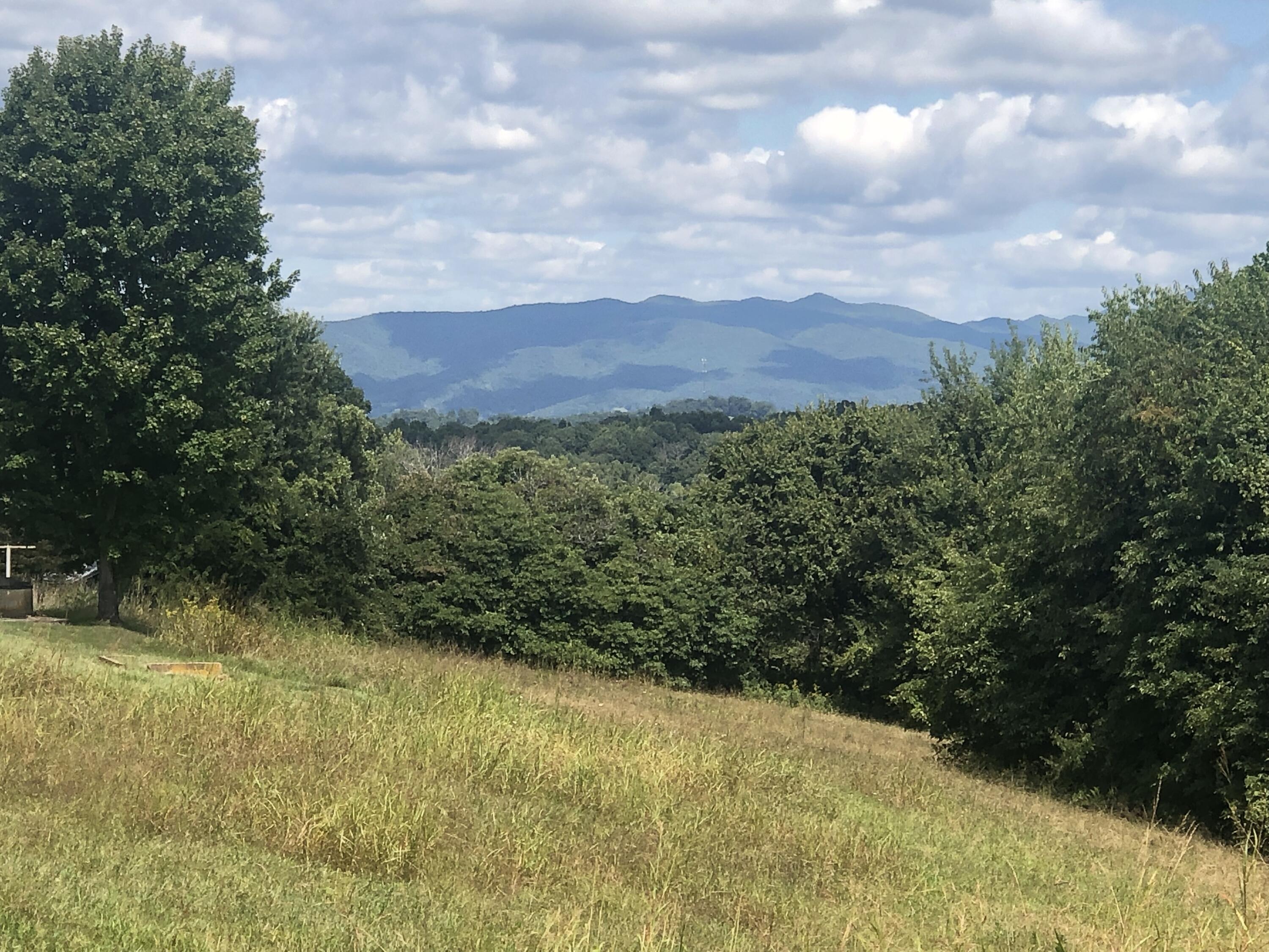 267 McKeehan Ridge Road Johnson City, TN 37601 - Photo 8 of 31 5BC0C539-7AA4-47B9-A016-269A10981606