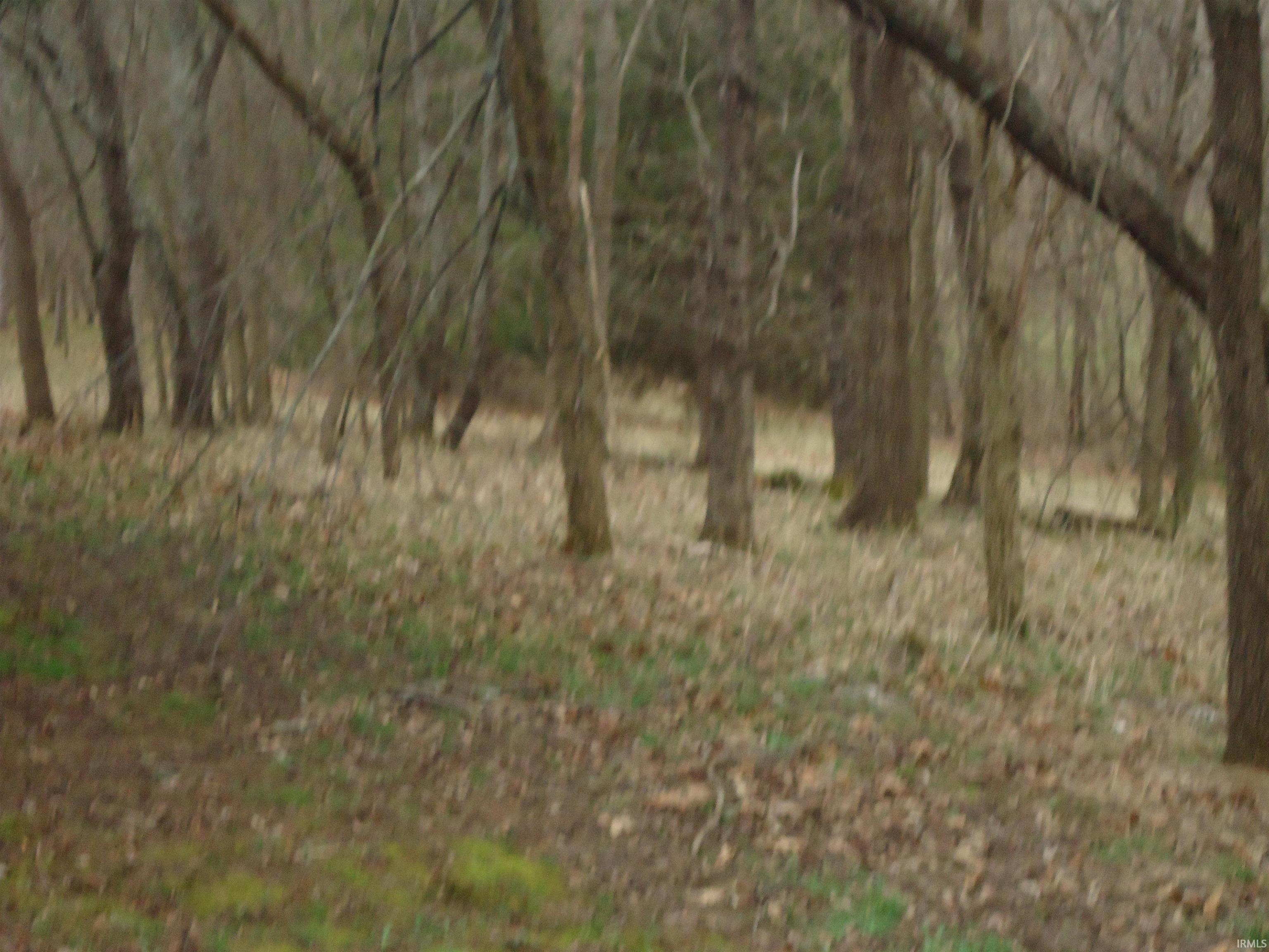 8874 South Gore Road Bloomington, IN 47403 - Photo 6 of 29 Gallery Image 6