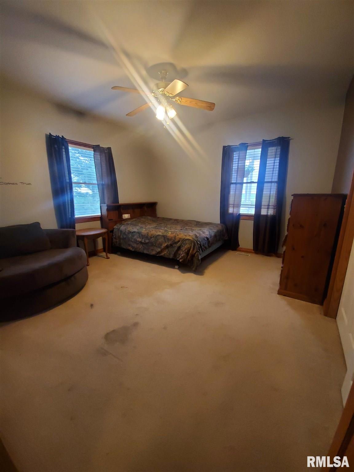 4687 Newmansville Road Ashland, IL 62612 - Photo 4 of 22 Gallery Image 4