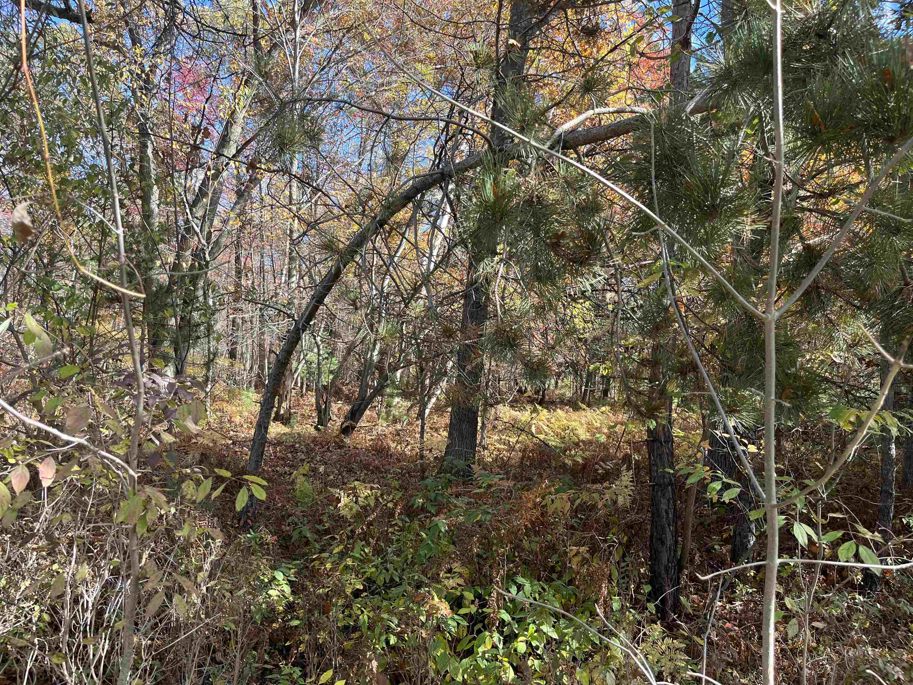 Nka Husak Road Omer, MI 48749 - Photo 2 of 5