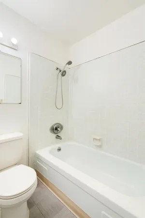 a bathroom with a bathtub and a toilet